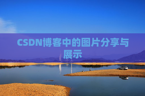 CSDN博客中的图片分享与展示